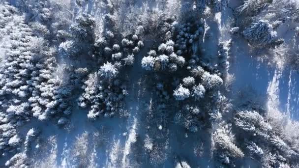 Widok Góry Zimowy Krajobraz Górski Wyciąg Narciarski Sezonie Zimowym Podróże — Wideo stockowe