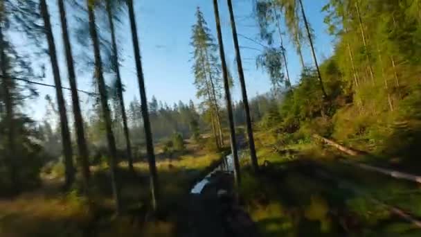 Γρήγορη Πτήση Πάνω Από Ένα Ορεινό Τοπίο Φθινόπωρο Ρεύμα Δέντρα — Αρχείο Βίντεο