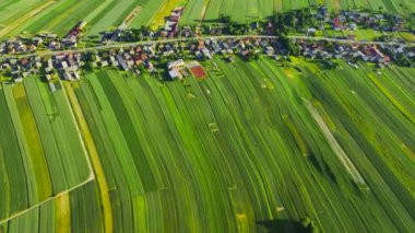 Aerial view of decorative ornaments of diverse green fields and houses arranged in a line along the road. Picturesque landscape, agriculture. Suloszowa, Poland