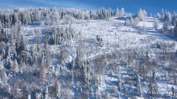 山の斜面に素晴らしい雪で覆われた森の空中ビュー 晴れた日には妖精の冬の風景 — ストック動画