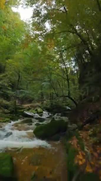 Büyük Taşların Arasında Akan Kıyılarda Ağaçlarla Çevrili Bir Dağ Nehri — Stok video