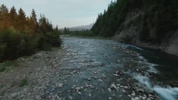 Yeşil Vadide Akan Dere Nehrin Havadan Görünüşü Yaz Gününde Güzel — Stok video