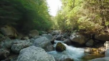 Fast flight over a mountain river flowing among large stones and surrounded by trees on the banks. Tatra Mountains, Slovakia. POV filmed with FPV drone.