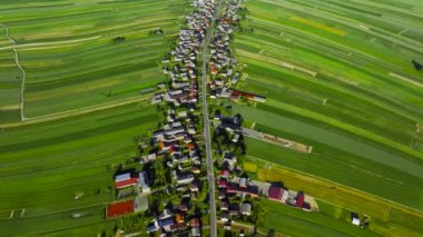 Aerial view of decorative ornaments of diverse green fields and houses arranged in a line along the road. Picturesque landscape, agriculture. Suloszowa, Poland