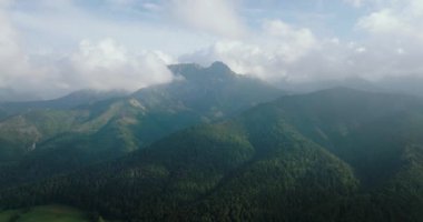 Yazın güzel dağ manzarası, bulutlu gökyüzü, orman ve kayalar. Zakopane, Tatra dağları, Polonya