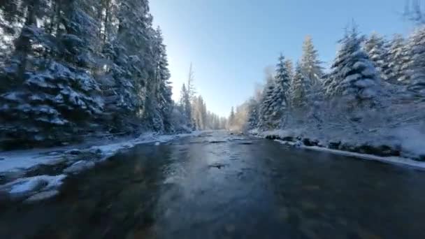 Fast Flight Mountain River Surrounded Snow Covered Forest Fairy Winter — Stockvideo