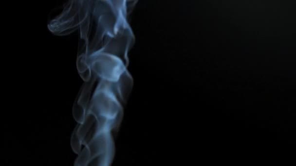 Abstrakter Rauch Steigt Schönen Wirbeln Vor Schwarzem Hintergrund Auf Zeitlupe — Stockvideo