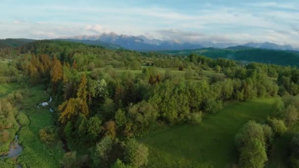 Вид Воздуха Летний Горный Пейзаж Скалистыми Вершинами Заднем Плане Татры — стоковое видео