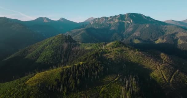 Aerial View Beautiful Mountain Landscape Summer Forest Rocks Zakopane Tatra — Video