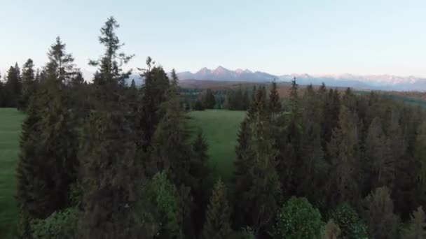 Вид Воздуха Летний Горный Пейзаж Скалистыми Вершинами Заднем Плане Татры — стоковое видео