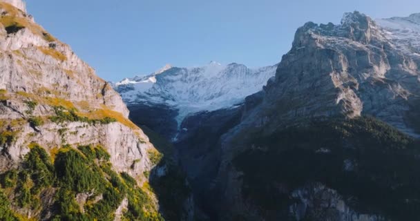 Vista Aérea Hermosa Naturaleza Suiza Valle Grindelwald Suiza Puesta Sol — Vídeos de Stock