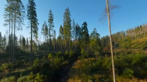 Voo Rápido Sobre Uma Paisagem Montanha Outono Fluxo Árvores Nascer — Vídeo de Stock