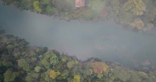 Yeşil Ağaçlarla Çevrili Alçak Seviyesi Olan Bir Dağ Tatlısu Nehri — Stok video