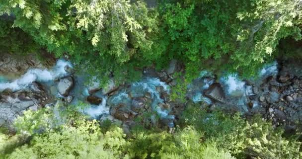 Top View Mountain River Flowing Large Stones Surrounded Trees Banks — Stock Video