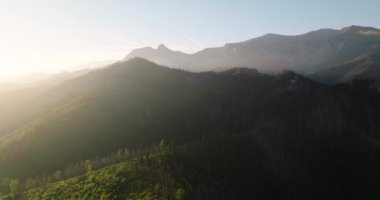 Yazın gün batımında, orman ve kayalıklarda güzel dağ manzarası. Zakopane, Tatra dağları, Polonya
