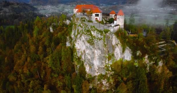 Vista Aérea Blejski Grad Hermoso Castillo Construido Sobre Una Roca — Vídeos de Stock