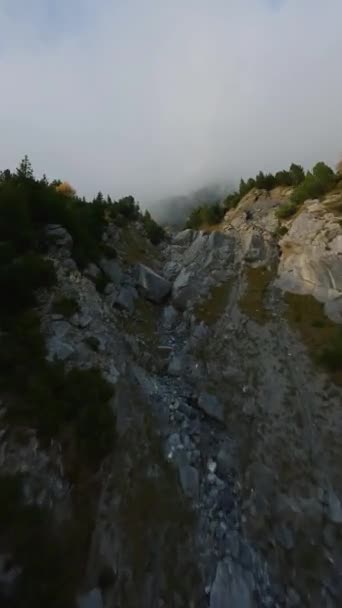 Video Verticale Fpv Volo Manovrabile Sopra Catena Montuosa Nelle Alpi — Video Stock