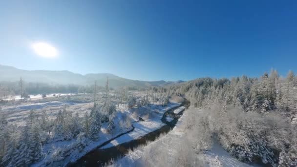 Fpv Flug Entlang Eines Gebirgsflusses Der Von Einem Schneebedeckten Wald — Stockvideo