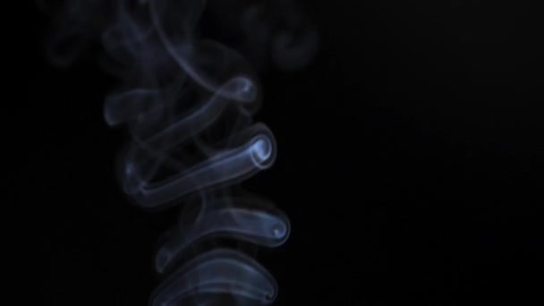 Abstrakter Rauch Steigt Schönen Wirbeln Vor Schwarzem Hintergrund Auf Zeitlupe — Stockvideo
