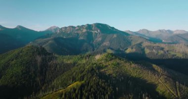 Yazın gün batımında, orman ve kayalıklarda güzel dağ manzarası. Zakopane, Tatra dağları, Polonya