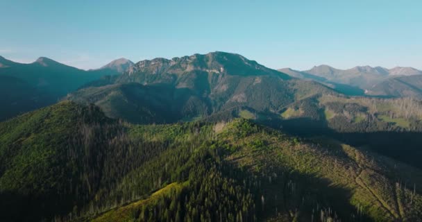 Aerial View Beautiful Mountain Landscape Summer Sunset Forest Rocks Zakopane — Stock Video
