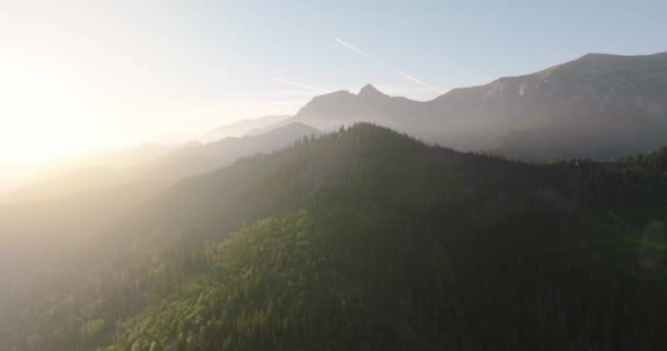Luchtfoto Van Het Prachtige Berglandschap Zomer Bij Zonsondergang Bos Rotsen — Stockvideo