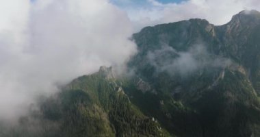 Yazın güzel dağ manzarası, bulutlu gökyüzü, orman ve kayalar. Zakopane, Tatra dağları, Polonya