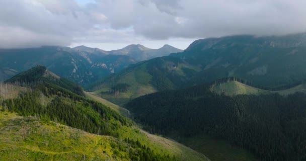夏の美しい山の風景の空中ビュー 曇りの空 森林や岩 ザコパネ タトラ山脈 ポーランド — ストック動画