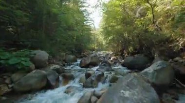Fast flight over a mountain river flowing among large stones and surrounded by trees on the banks. Tatra Mountains, Slovakia. POV filmed with FPV drone.