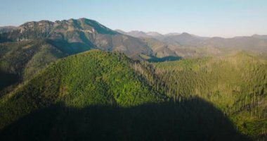 Yazın gün batımında, orman ve kayalıklarda güzel dağ manzarası. Zakopane, Tatra dağları, Polonya