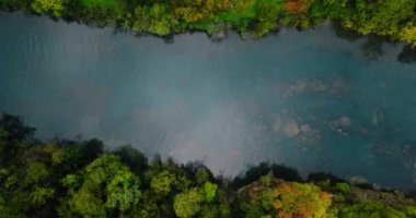 Yeşil ağaçlarla çevrili, alçak su seviyesi olan bir dağ tatlısu nehri Adda 'nın en tepedeki manzarası. Sisin içinden yükselen kamera. Lombardy, İtalya. 