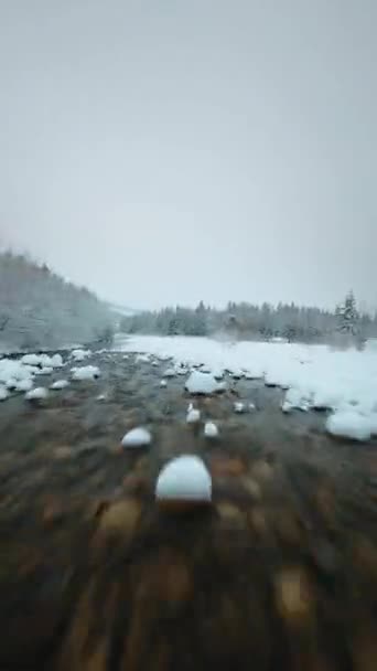 Vertical Video Fast Flight Mountain River Surrounded Snow Covered Forest — Stockvideo
