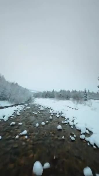 Vertical Video Fast Flight Mountain River Surrounded Snow Covered Forest — Vídeos de Stock