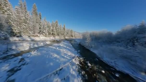 Fast Flight Mountain River Surrounded Snow Covered Forest Fairy Winter — 图库视频影像