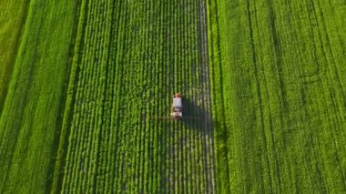 Tractor sprays fertilizer on agricultural plants on the rapeseed field, top view from height