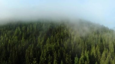 Flight over the forest on the mountainside through the fog. Ukraine, Carpathian Mountains, Bukovel