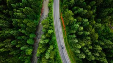 Top down view of cars driving along the road in the mountains among the coniferous forest