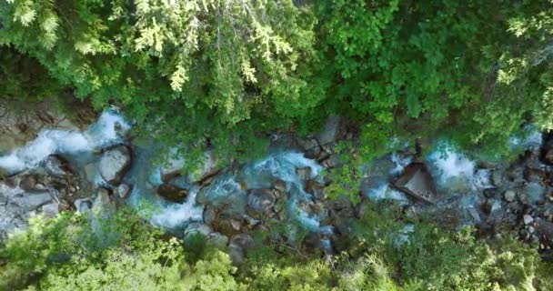 Top View Mountain River Flowing Large Stones Surrounded Trees Banks — Video