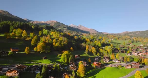Vista Aérea Hermosa Naturaleza Pueblo Suizo Grindelwald Suiza Puesta Sol — Vídeos de Stock