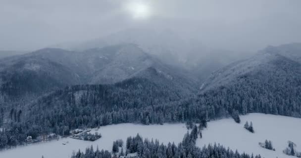 Flight Fabulous Snow Covered Mountain Landscape Fairy Winter Landscape Frosty — Stok video