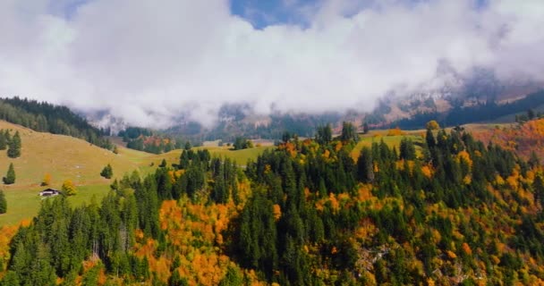 Aerial View Beautiful Swiss Nature Switzerland Famous Swiss Tourist Destination — Stock video