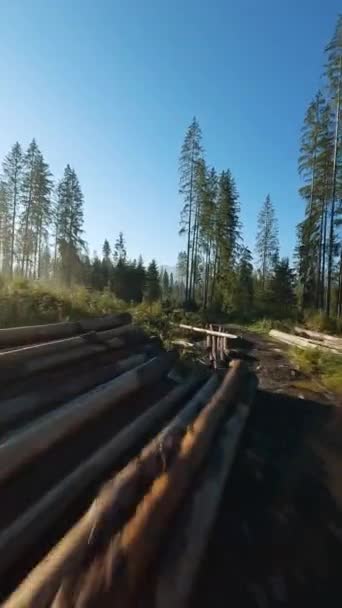 Vertical Video Fast Flight Autumn Mountain Landscape Felled Tree Trunks — Video