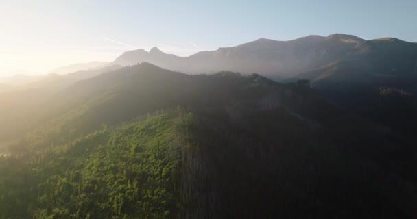 Yazın Gün Batımında Orman Kayalıklarda Güzel Dağ Manzarası Zakopane Tatra — Stok video