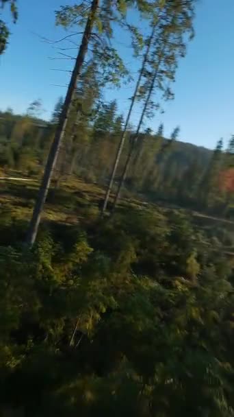 Vertikální Video Rychlý Let Nad Podzimní Horskou Krajinou Potok Stromy — Stock video