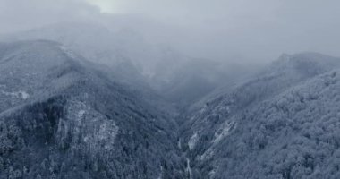 Flight over a fabulous snow-covered mountain landscape. Fairy winter landscape on a frosty gloomy day. Tatra Mountains, Zakopane, Poland