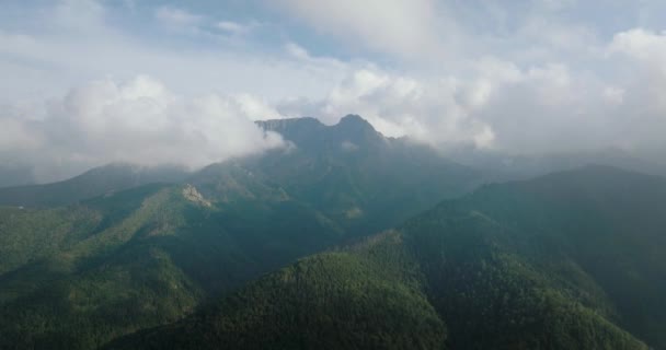 Widok Lotu Ptaka Piękny Górski Krajobraz Latem Zachmurzone Niebo Las — Wideo stockowe