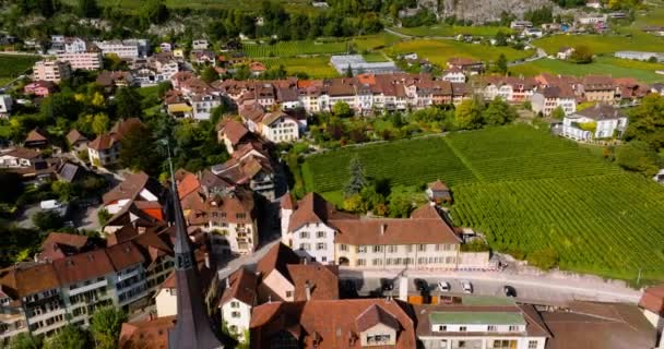 Luftaufnahme Der Stadt Neuveville Ufer Des Bielersees Schweiz Altbauten Mit — Stockvideo