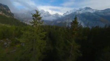 FPV fast maneuverable flight between the trees on the lake Oeschinensee in Swiss Alps on a cloudy autumn day. Kandersteg, Switzerland.