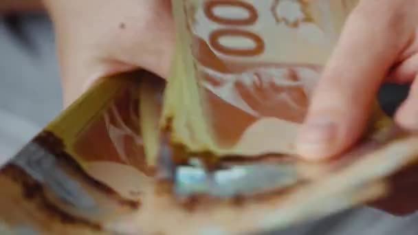 Mani Femminili Che Contano Banconote Dollari Canadesi Primo Piano Concetto — Video Stock