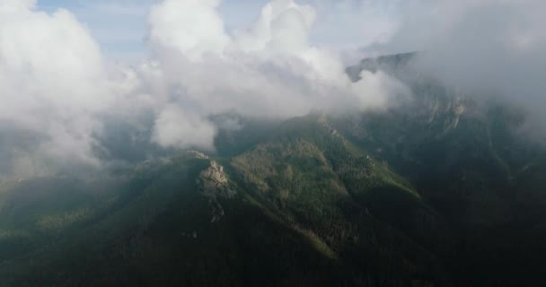 Vista Aérea Del Hermoso Paisaje Montañoso Verano Cielo Nublado Bosque — Vídeos de Stock
